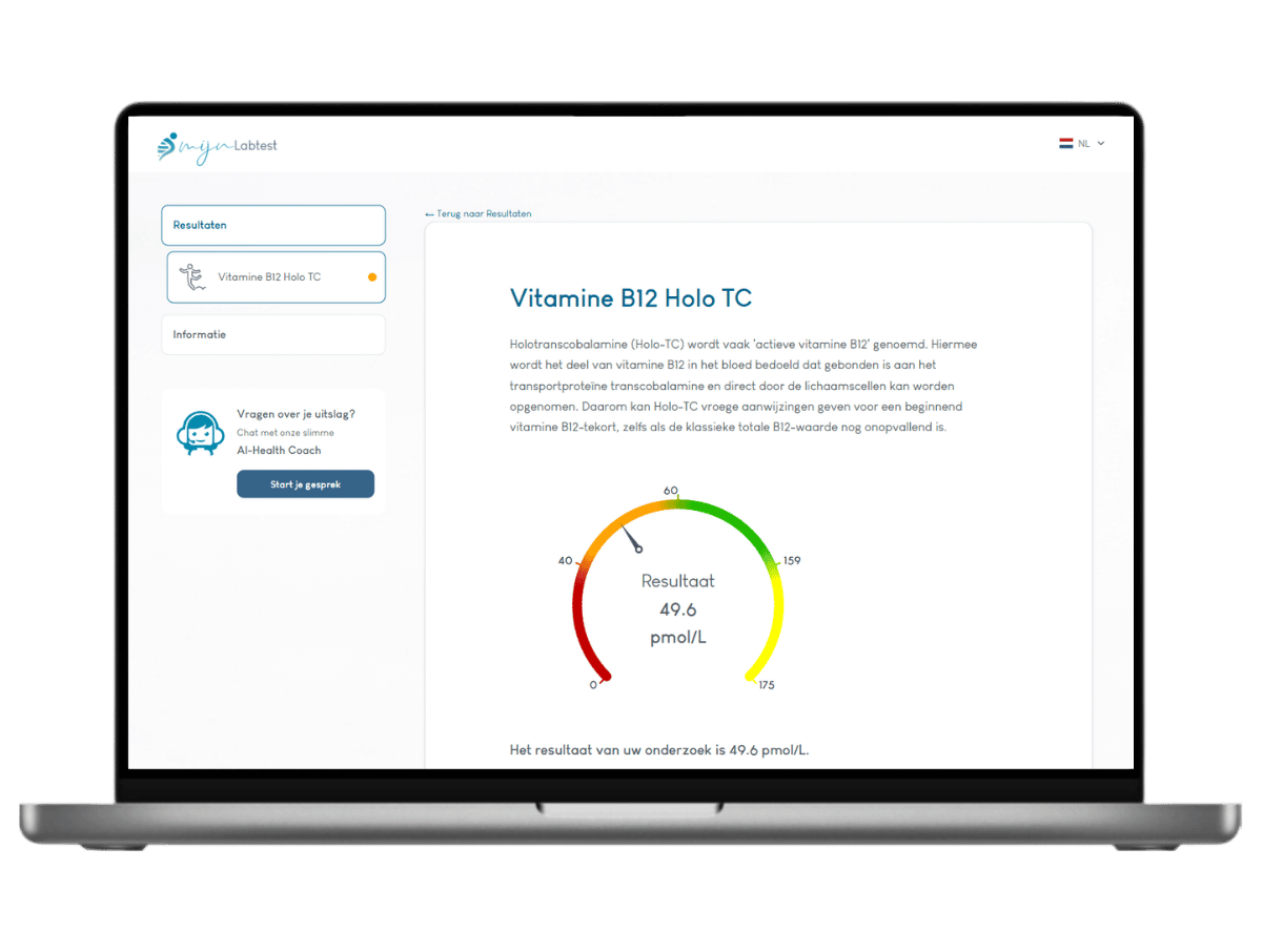 Het Vitamine B12 actief rapport.